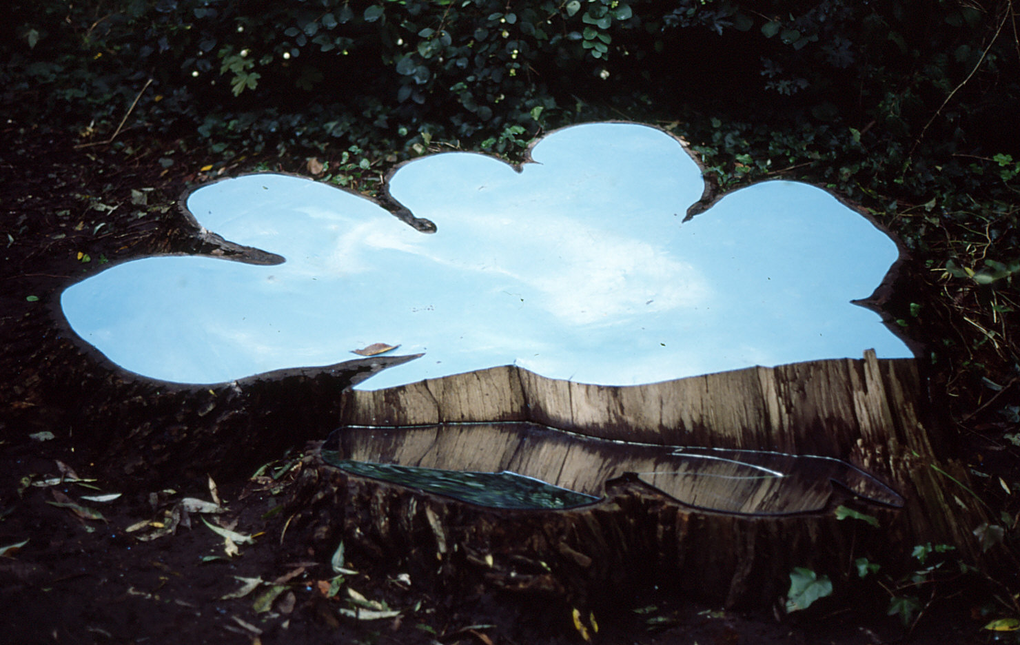 Ruimtelijk werk van beeldend kunstenaar Saskia Zwiers met de titel Hemelhout gemaakt voor de tentoonstelling Stadsparadijs in het Noorderplantsoen in Groningen in 1993
