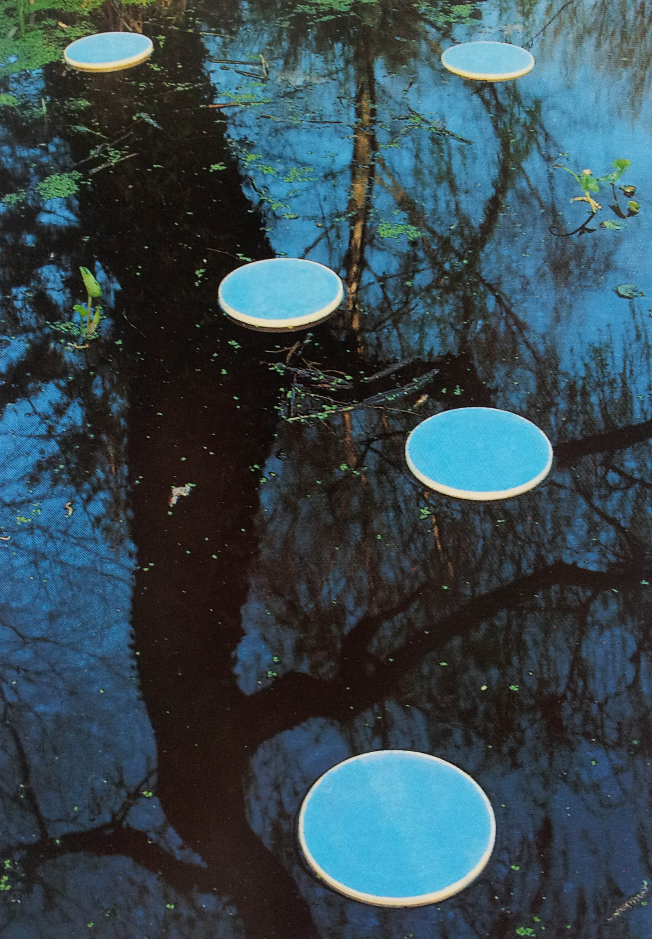 Saskia Zwiers -Ophelia, 1990 installatie met vijf vijverdrijvers